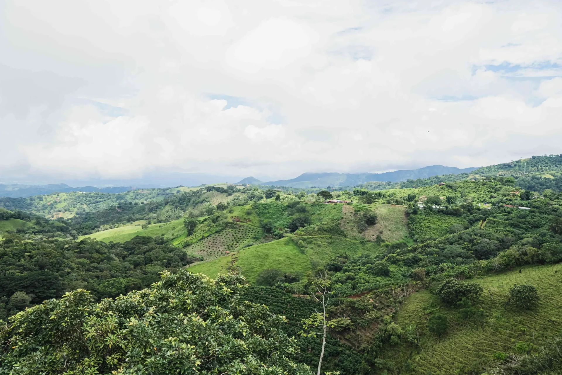 Vacation Rental Retreat in Atenas, Costa Rica, Atenas, Costa Rica — photo 5